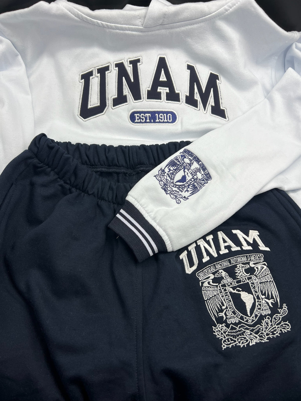 UNAM conjunto PANTS