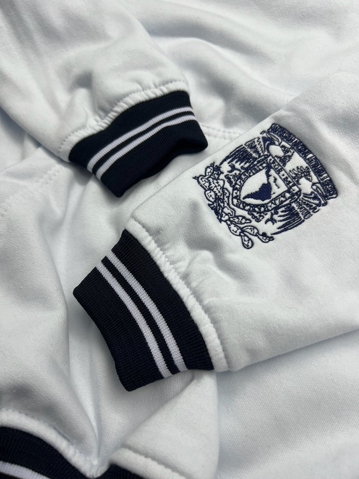 UNAM conjunto PANTS