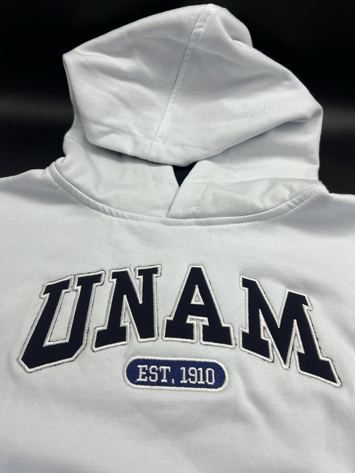 UNAM conjunto PANTS
