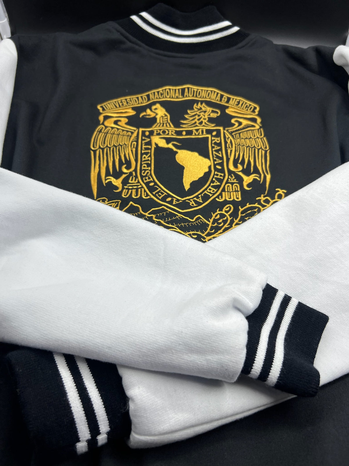 PUMAS UNAM VARSITY JACKET